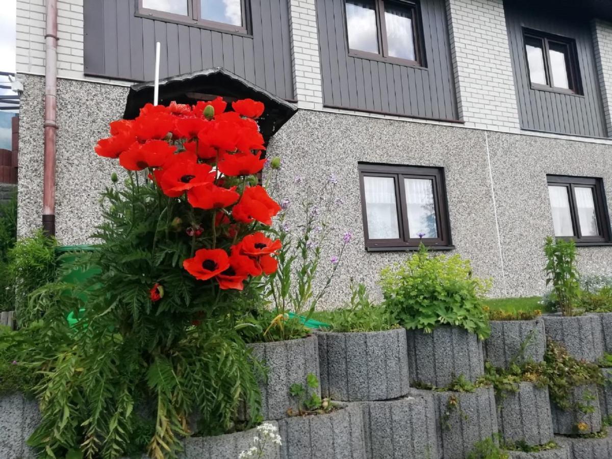 Ferienwohnung Suetovius Oberwiesenthal Exterior foto